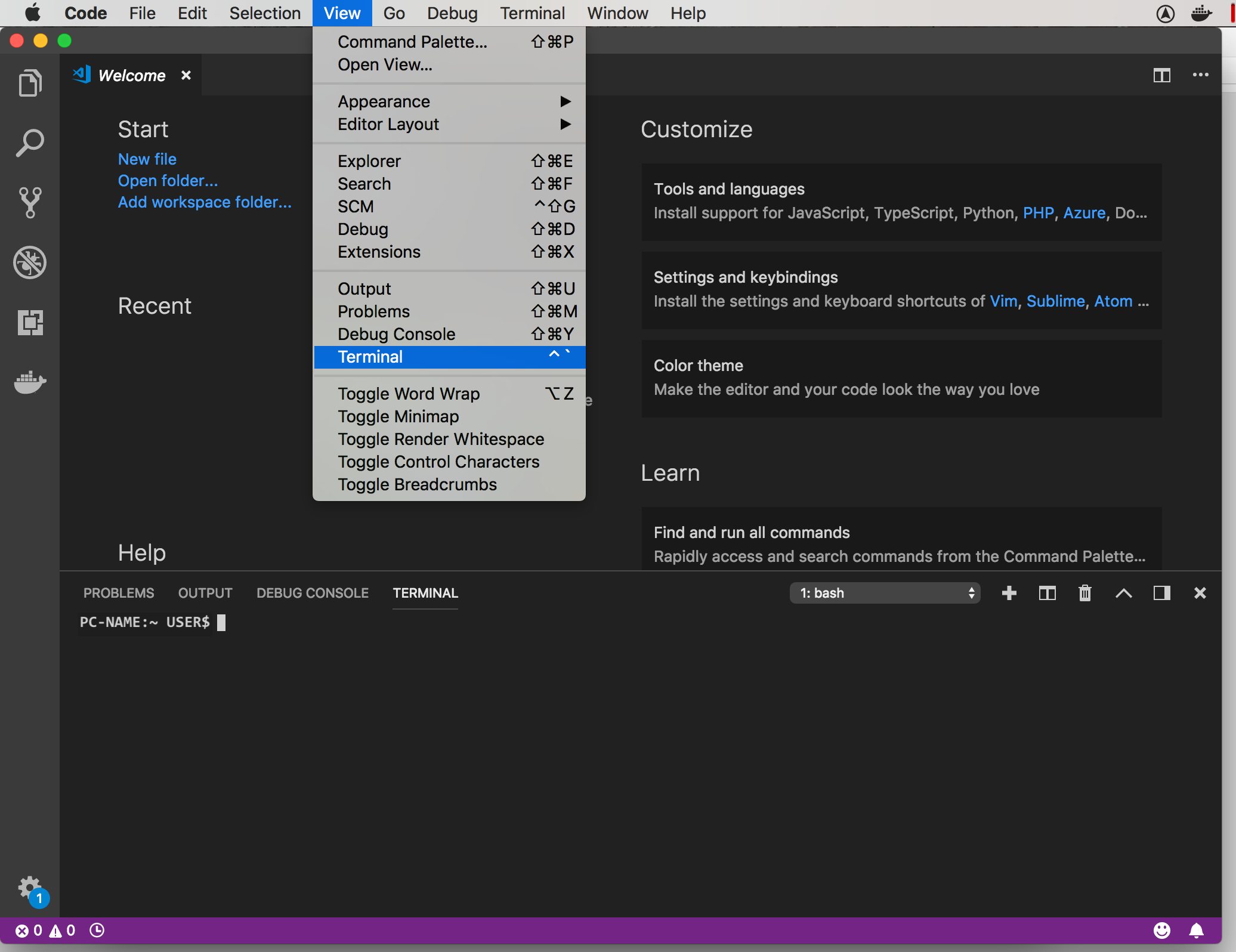 Visual Studio Code With Terminal